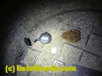 /home//u458753944/public_html/sourcegallery//////Roxborough Toad Detour/2013-2019/2013/2013-04-09/P1120063.JPG